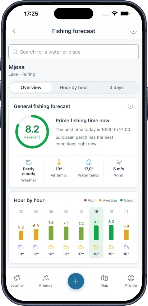 The bite forecast for a water: a bite score hour by hour with the best fishing times.