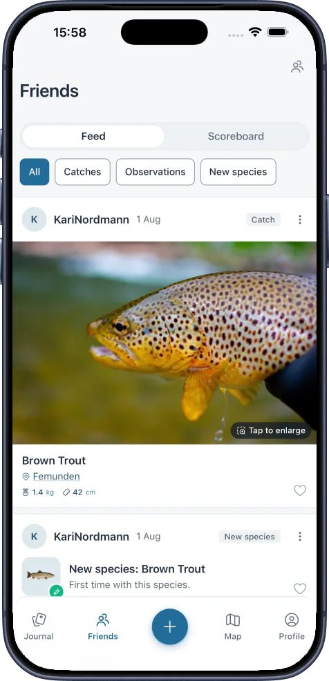 The friends feed in MinFangst with catches and new species